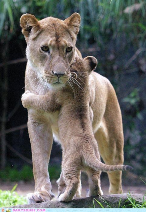 Your Love is My Hug