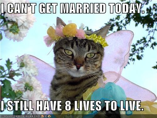 I CAN'T GET MARRIED TODAY.