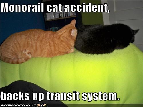 Monorail cat accident,  backs up transit system.