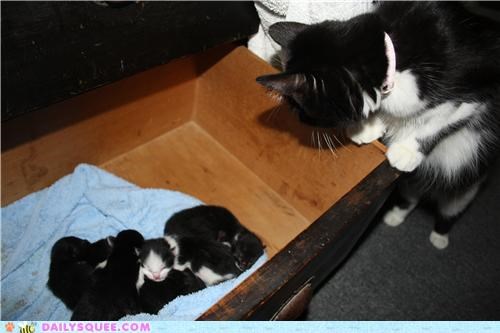 Mothers watchful eye