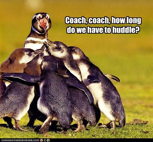 Coach, coach,