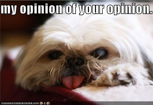 your opinion.