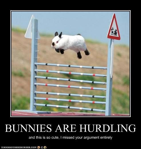BUNNIES ARE HURDLING