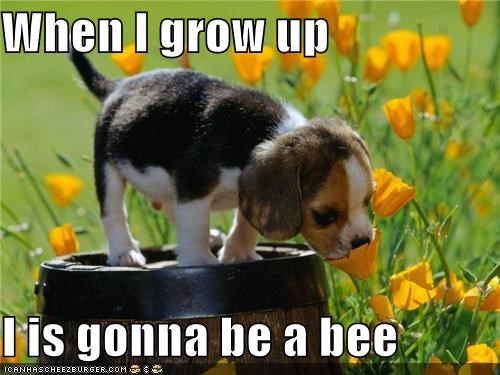 When I grow up