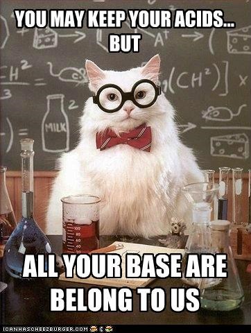 Chemistry Cat: Somebody Set Us Up the Lab
