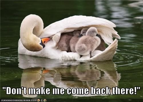 "Don't make me