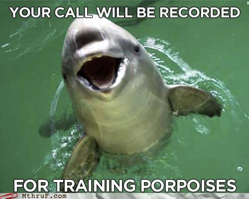 Please Ignore the Intermittent Squeaking Noises During Your Call