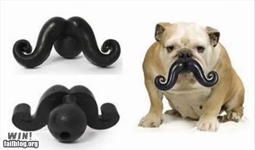 Dog 'Stache WIN