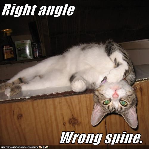 Right angle  Wrong spine.