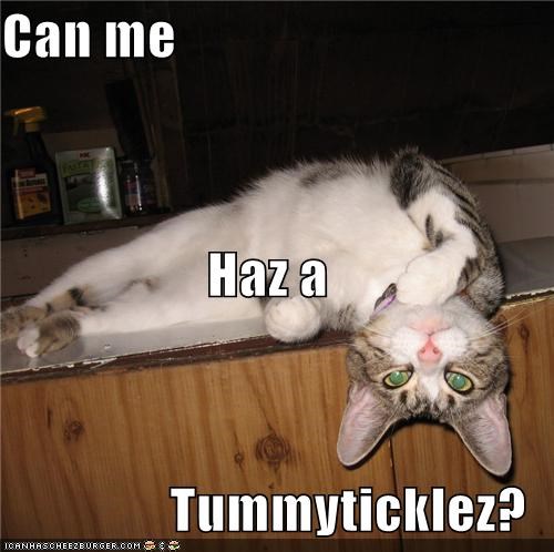 Can me Haz a Tummyticklez?