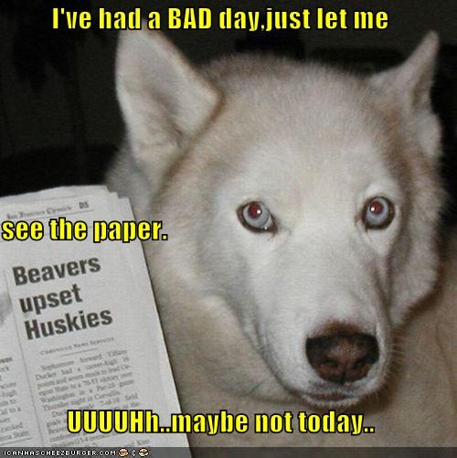 I've had a BAD day,just let me see the paper. UUUUHh..maybe not today..