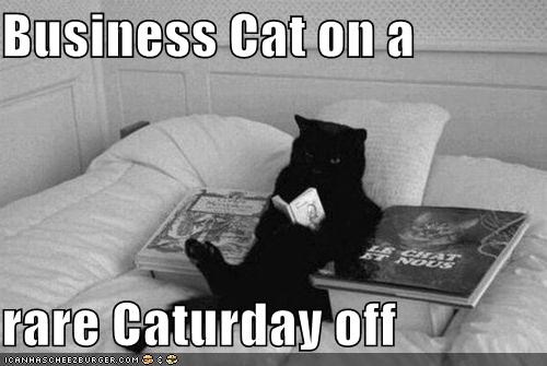 Business Cat on a   rare Caturday off
