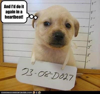 File under: 'Unrepentant', 'Cute'