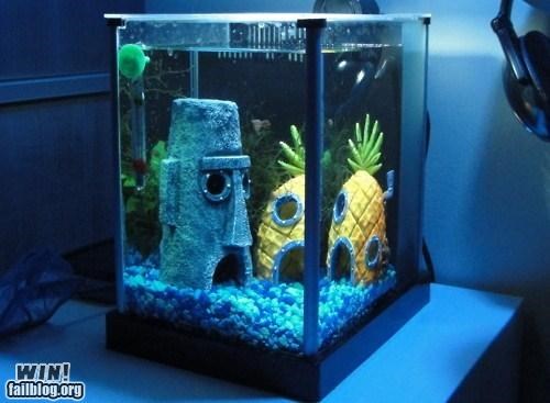 Spongebob Aquarium WIN