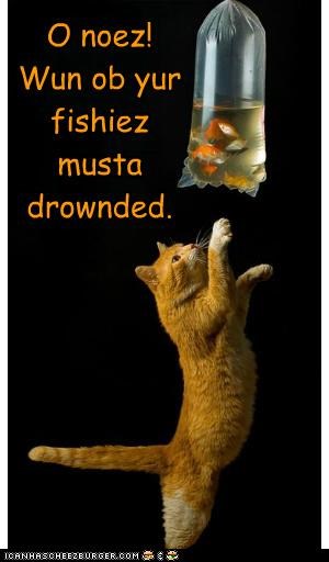 O noez! Wun ob yur fishiez musta drownded.