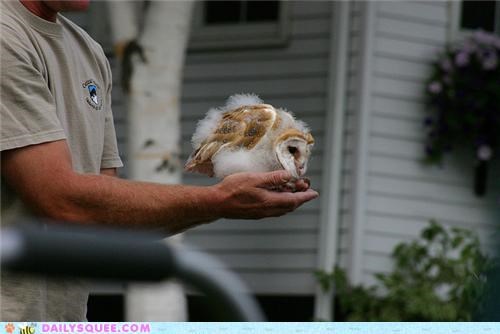 Squee Spree: Ready for Liftoff