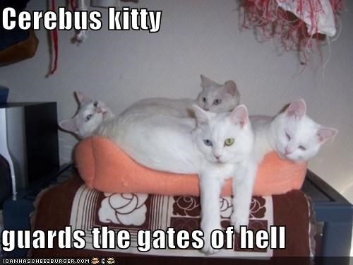Cerebus kitty  guards the gates of hell