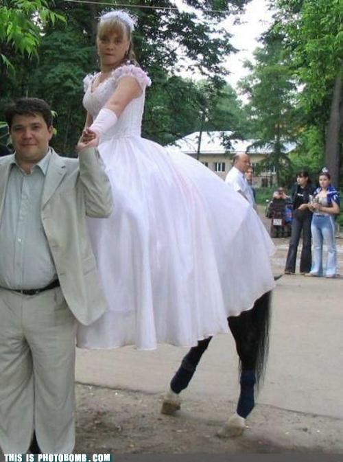 I Think You Married Sarah Jessica Parker