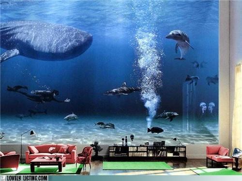 Best Aquarium Ever