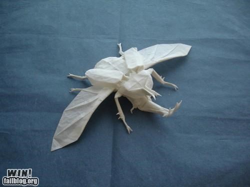 Origami Beetle WIN