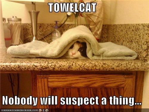 TOWELCAT