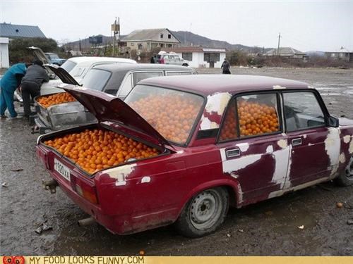No Scurvy Risk Here!