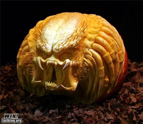 Predator Pumpkin WIN