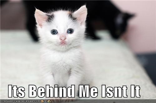 Ceiling Cat vs. Basement Cat: The Early Years