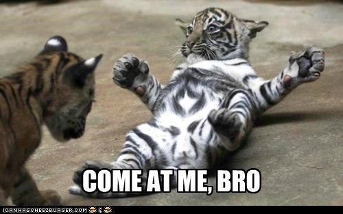 Tiger Edition