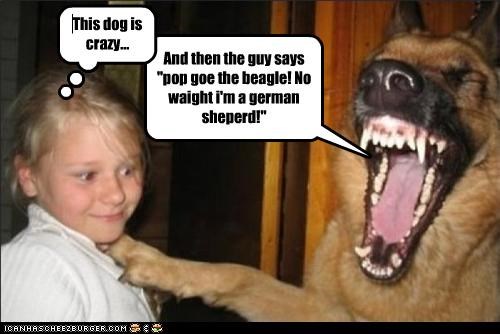 And then the guy says "pop goe the beagle! No waight i'm a german sheperd!"