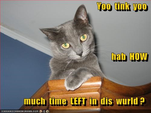Yoo  tink  yoo hab  HOW much  time  LEFT  in  dis  wurld ?