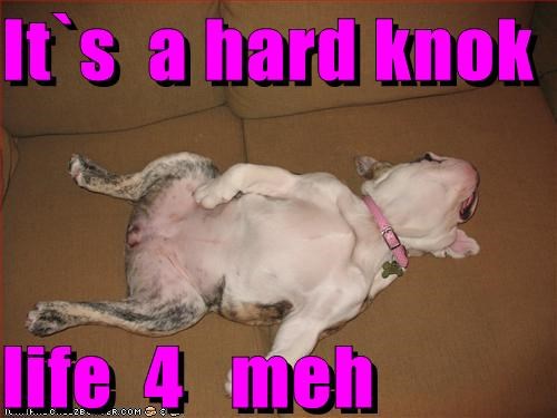 It`s  a hard knok  life  4   meh