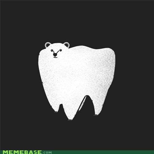 Molar Bear