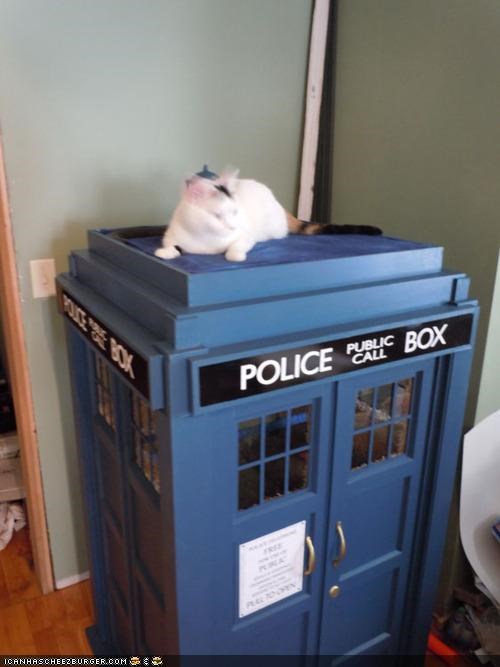 The Greatest Kitteh Home of All (Space and) Time!