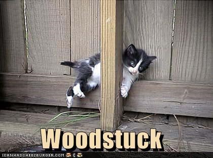 Woodstuck