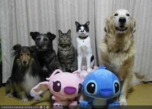Goggies R Owr Friends: On the Count of Three, Smile and Say "Cheezburger!"