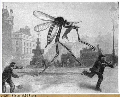 If Insects Were Bigger...Life Would Be Terrifying!