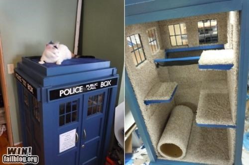 Cat Tardis WIN