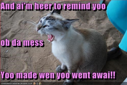 And ai'm heer to remind yoo ob da mess Yoo made wen yoo went awai!!