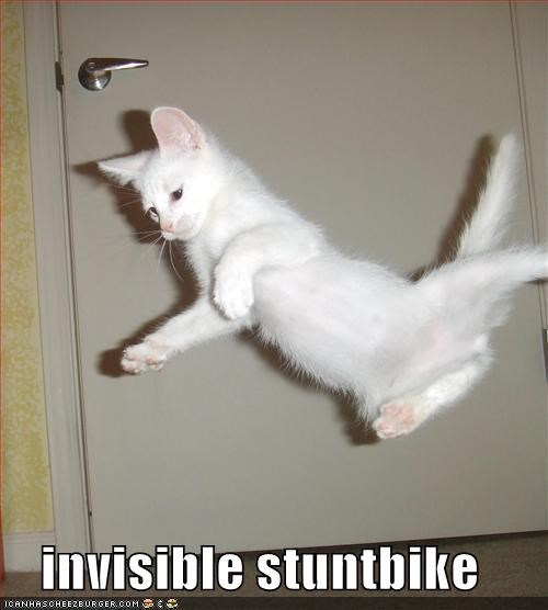 Introducing Anne Hathaway's Catwoman Stunt Double