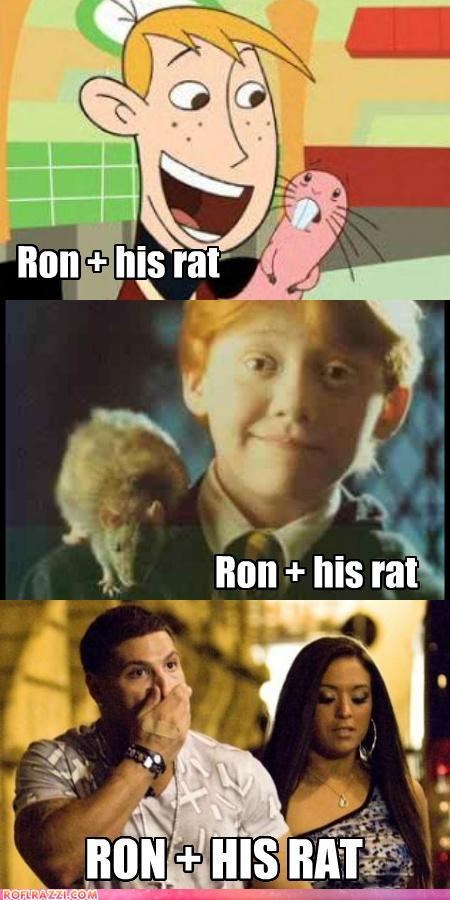 Ron And His Rat