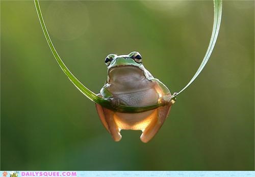 Just Hanging Out...