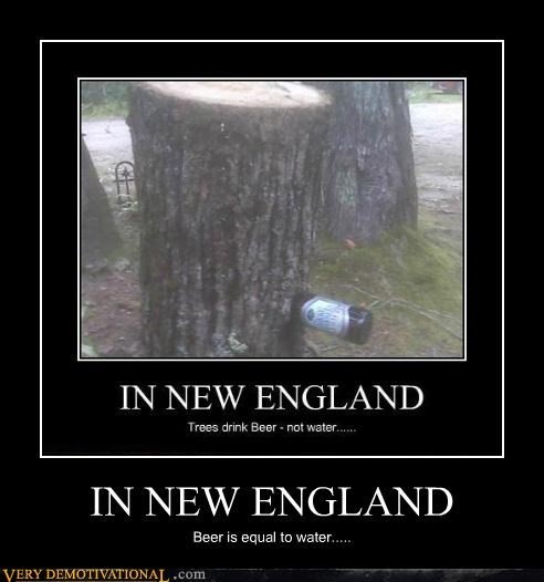IN NEW ENGLAND