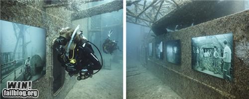 Underwater Art Gallery WIN