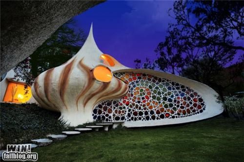 Nautilus House WIN