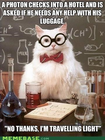 Chemistry Cat: Waves Goodbye