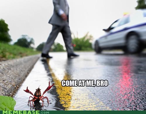 I'm Over Here!