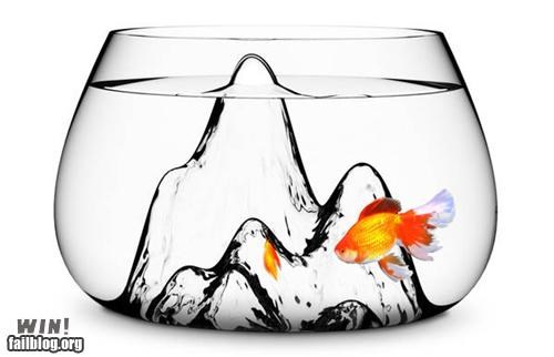 Fish Tank WIN
