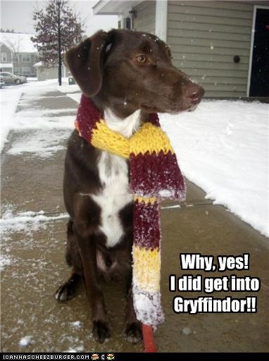 Why, yes!