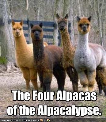 So Much Cuter Than the Normal Apocalypse